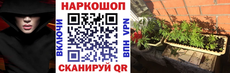 Конопля Усмань