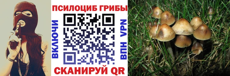 Галлюциногенные грибы мухоморы  цена наркотик  Усмань 